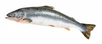 Горбуша неразделанная с головой кг