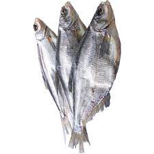 Синец (Сопа) вяленый весовой кг