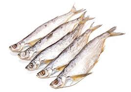 Чехонь вяленая весовая кг