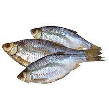 Сорожка вяленая с икрой весовая кг