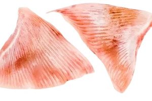 Крылья ската замороженные кг