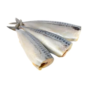 Скумбрия соленая в тушке потрошеная без головы Атлантика из ведра  весовая кг
