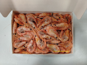 Креветка северная Дальневосточная, размер 70/100 (Сахалин коробка 1 кг